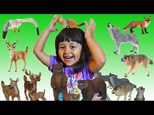 Schleich Safari 32 Toys of Wild Animals ZOO Learn Animals with Happy Cute 3 Year Old