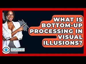 What Is Bottom-Up Processing In Visual Illusions? - Optometry Knowledge Base