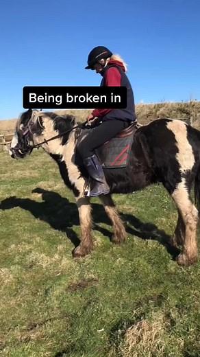 What a change of horse #fyp #foryou #foryoupage #horse #equestrian #equine