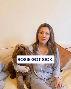 Caring for your pet, every step of the way. Whether it's routine check ups or emergency care, our dedicated team is always there for you and your pet. Don't just take our word for it - our clients have rated us Excellent on Trustpilot with over 11,000 five star reviews. | Medivet UK