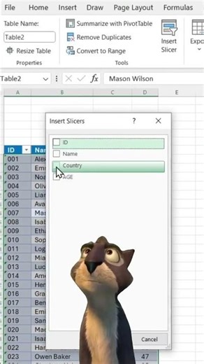 Excel tricks - Slicers