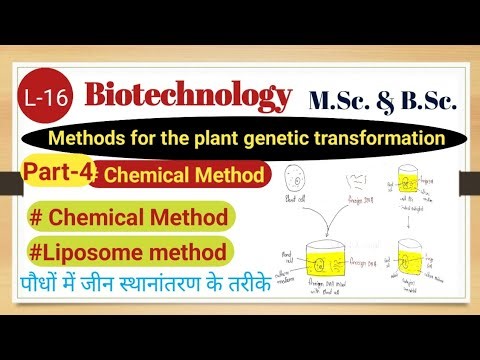 Methods for the plant genetic transformation, /Part -4/, Chemical Method, Liposome method, M.Sc.