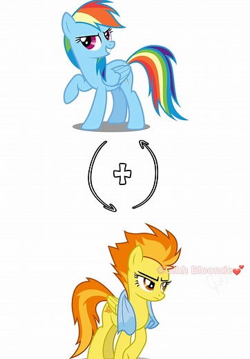 MLP Random Fusion Edit: Rainbow Dash Meets Spitfire