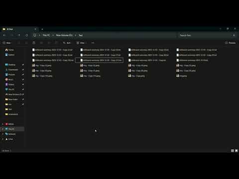 Duplicate File Cleaner