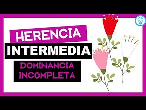 INCOMPLETE DOMINANCE 🧐🌺