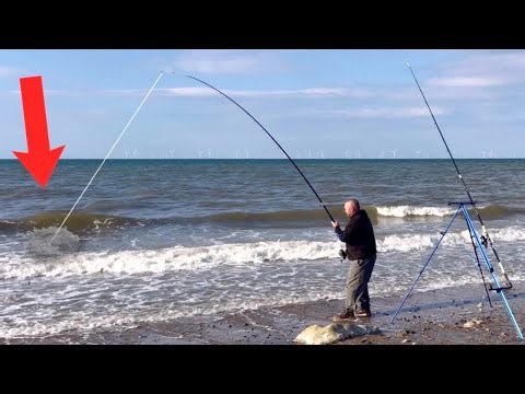 BIG FISH ALERT ⚠️ I CAUGHT A MONSTER from this PREHISTORIC BEACH❗️
