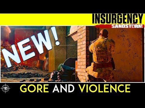 INSURGENCY SANDSTORM Gameplay, Gore and Violence
