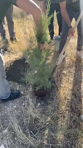 5K views · 68 reactions | At Karin Nursery, our tree specialists recently hosted the second three-day Tree Nursery Establishment and Management course! Participants gained valuable skills in this useful course, including how to produce high-value seedlings, graft fruit trees, learn about hydroponics, and prepare seeds and cuttings. Watch the video to hear insights and experiences from the participants! | Armenia Tree Project | Facebook