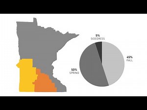 Video: Fall vs. spring urea in Minnesota
