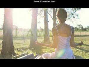 Opening To The Frog Prince 2014 DVD