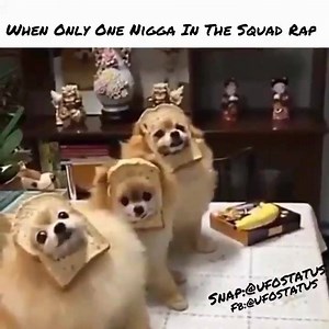 He got spit game though Like the video? 󾮗 my page Add me on on IG @ufostatus Snapchat @ufostatus | Ufo StatuS