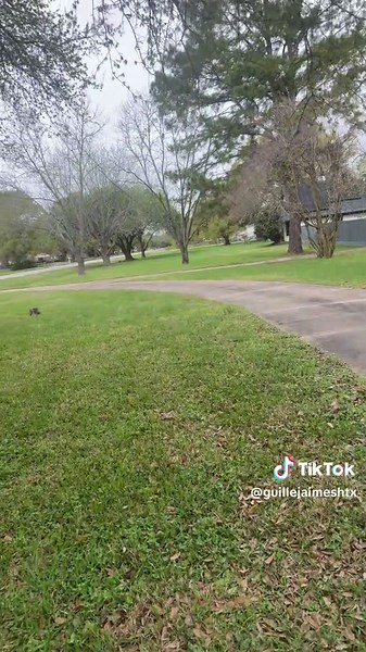 Exploring the Best Concrete Finishing Techniques