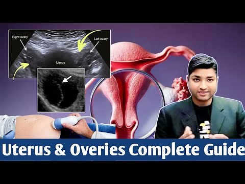 Complete Guide to Uterus and Ovaries Ultrasound for Beginners by Dr Ali Waqar