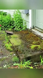 2.2M views · 10K reactions | _So to want to know how the weed...