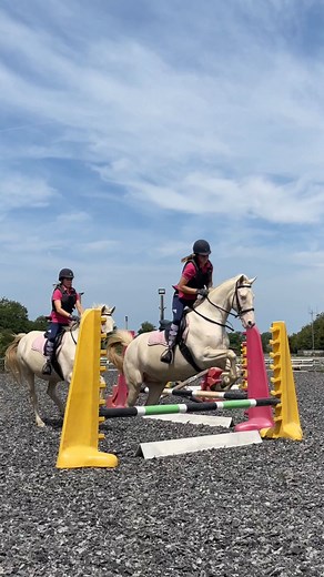 Stag Lodge Stables on Instagram: "Jumping into summer like 😎🌞✨ #equestrianlife #horsejump #equestrianlife #horseriding #horselovers #showjump #training #equestrianlifestyle"
