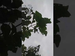 Varshu designer+kapda kating design