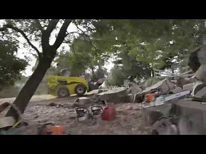 Pine Tree Removal by "Ace Tree"