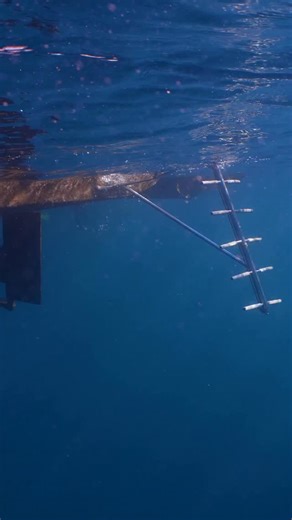 Day 2 – CMAS World Championship Underwater Photo & Video 📍 L’Estartit, Spain | Les Illes Medes Today we dive into the incredible beauty of the underwater world in Les Illes Medes, where the CMAS World Championship Underwater Photo & Video and the CMAS World Cup for Underwater Photo are taking place. 📸🤿 Crystal-clear waters, vibrant marine life, and world-class talent — all coming together to celebrate the art of underwater photography and video. 💙 #CMAS #InCostaBrava #UWchamp2025 | CMAS-Worl