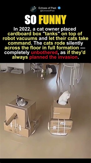 Cats Hijacked Robot Vacuums And Built Tank Formation