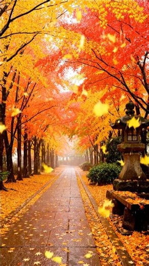 🍁 Authentic North American Autumn Rain | Relaxing Forest Nature 4K HDR for USA, Canada & Europe