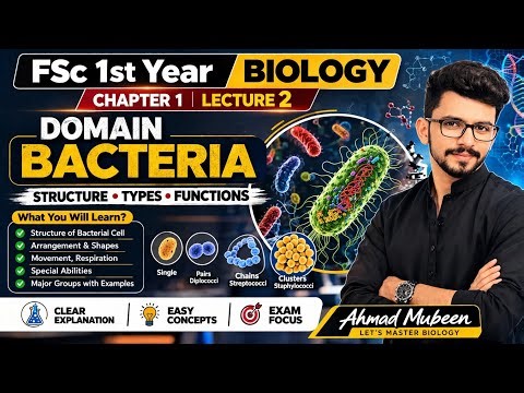 Domain Bacteria Full Explained | FSc 1st Year Biology Chapter 1 Lecture 4