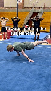 How to learn the Planche on easy mode 👀 #calisthenics #gymnastics #strength #planche #howto | Rileyloos