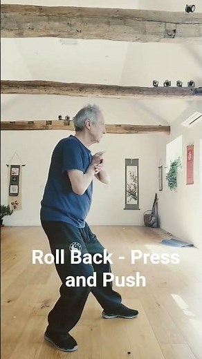 roll back, press and push a series of movements repeated many times throughout the Yang 108 form