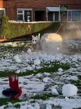 Exploding #snowman ⛄️ #grok #ai #funny #lol #explosion #wtf #bruh #cries #shorts #subscribe