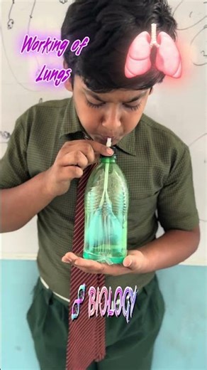 ❤️‍🔥Function Of Lungs|Experiment with students #viralcontent #physicspulse