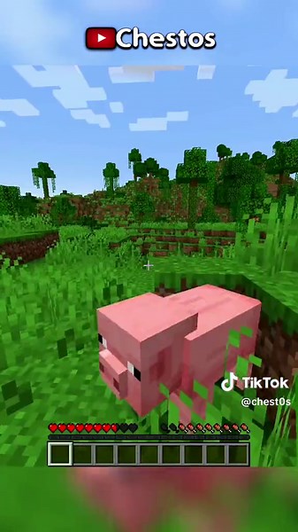 Exploring Minecraft: Combat and Adventure Underground