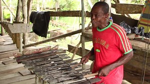🔊La Marimba de chonta es uno de los instrumentos más usados debtro la creación musical del Pacífico colombiano.🎶🎵🎶 #QuibdóConstruye #ConstruyendoPaís | Ministerio de Cultura
