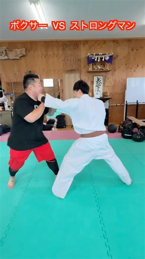 【武道・格闘技】無差別級ストロングマンと茶帯でボクシング対決やってみた！！#aikido ＃karate #martial #武道 #空手＃合気道＃筋トレ#selfdefens