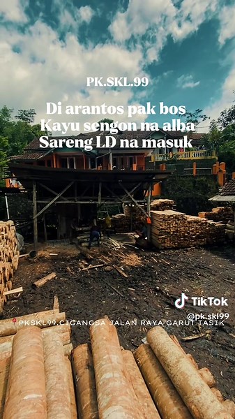 Kelebihan Kayu Sengon untuk Penggunaan Sukses