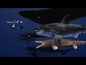 Prehistoric Sea Monsters Animated (Size + Weight Comparison)