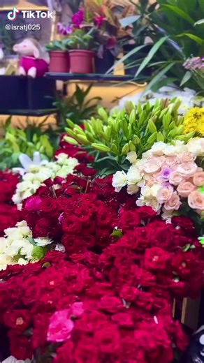 aisha.siddika (@aisha.siddika075)’s videos with original sound - aisha.siddika