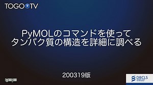 PyMOLのコマンドを使ってタンパク質の構造を詳細に調べる