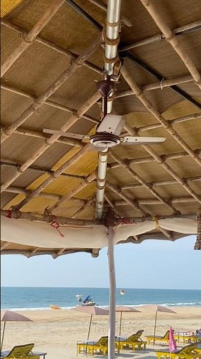 Beach 🏖️ Cute Ceiling Fan 🥰 #ceilingfan #ceilingfanrepair
