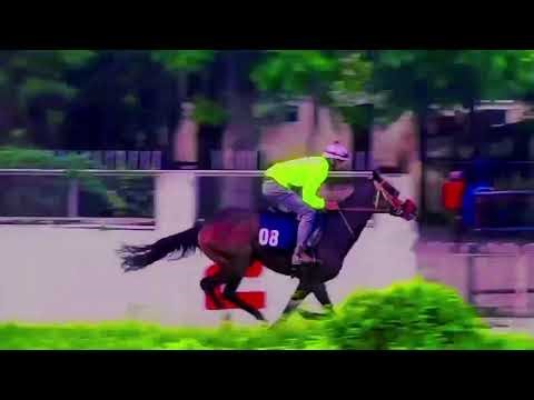 Horse races in hyderabad race club 🌎
