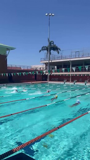 Swimming Comeback: Our Pool and Swimmers Return!