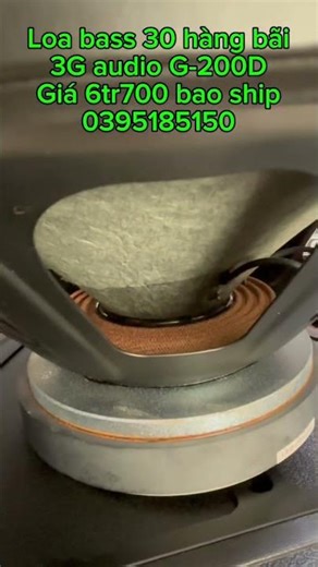 LOA 3G audio G-12D BASS 30
