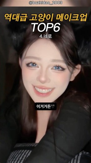 역대급 고양이 메이크업 TOP6