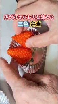 【総集編】じいちゃんが作った弁当箱登場回まとめ #料理 #料理動画 #shorts #祖母 #祖父 #イカ弁当 #三色弁当