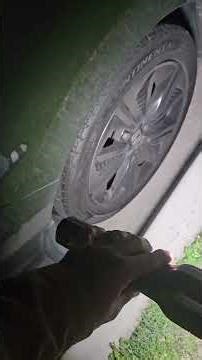 Super Bright Light For When You Need It the Most