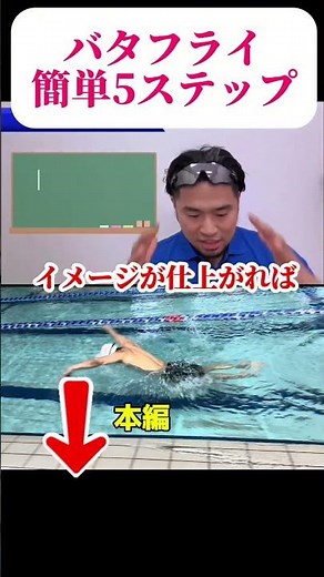 バタフライが簡単にマスター出来る5ステップ#水泳 #swimming #競泳