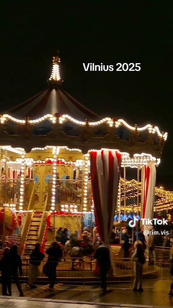 Vilniaus eglė 2025: Kalėdų stebuklai