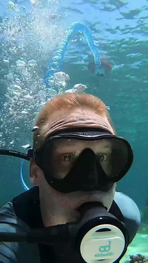17K views · 265 reactions | Explore the fascinating world underwater. With AirBuddy. 錄 | AirBuddy | Facebook