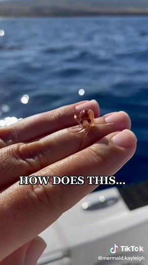 mermaid.kayleigh on TikTok