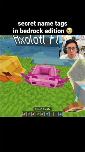 Minecraft Secret Name Tags Moment