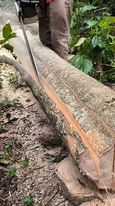 176K views · 1.7K reactions | No cometas este error al comprar una motosierra  #madera #chainsaw #woodworking #asmr | Hugo RM | Facebook