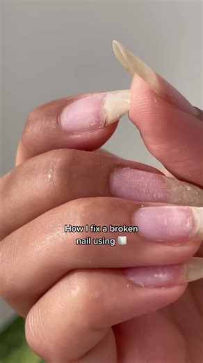 TikTok - Make Your Day